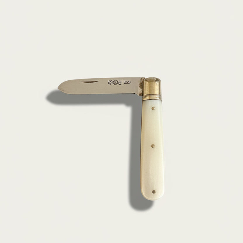 Mother of Pearl Letter Opener
