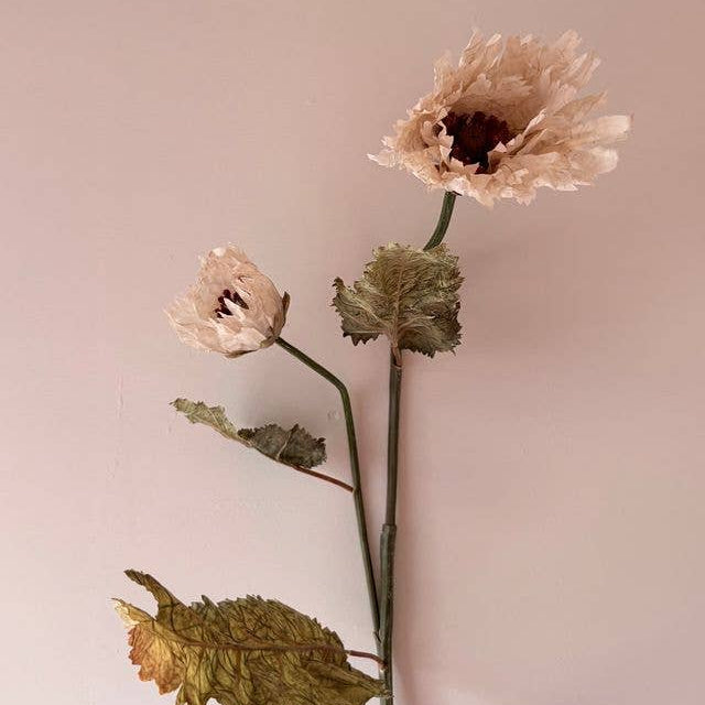 Vintage Poppy - Nude