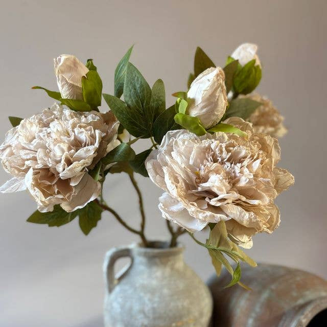 Full Bloom Double Peony - Nude