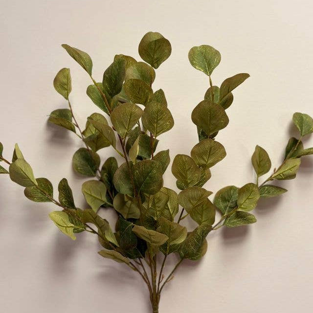Eucalyptus Bunch - Green Brown