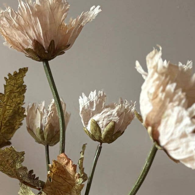 Vintage Poppy - Nude