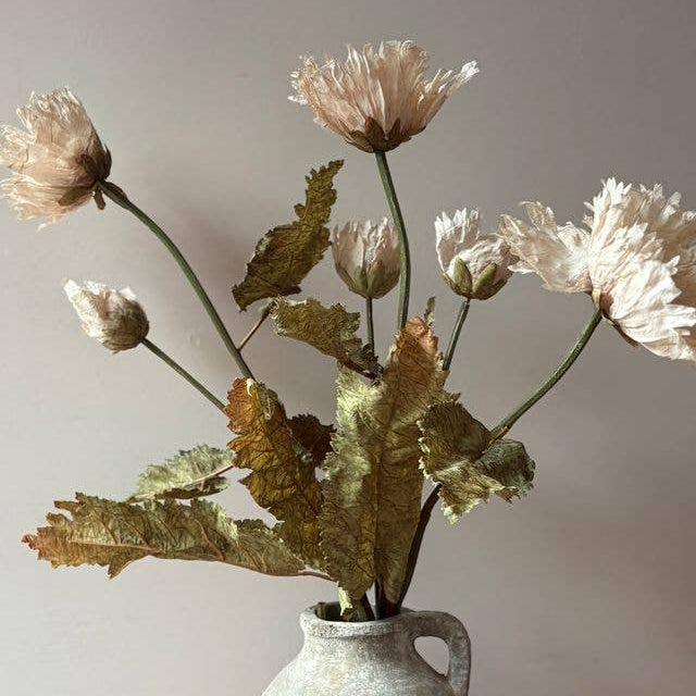 Vintage Poppy - Nude