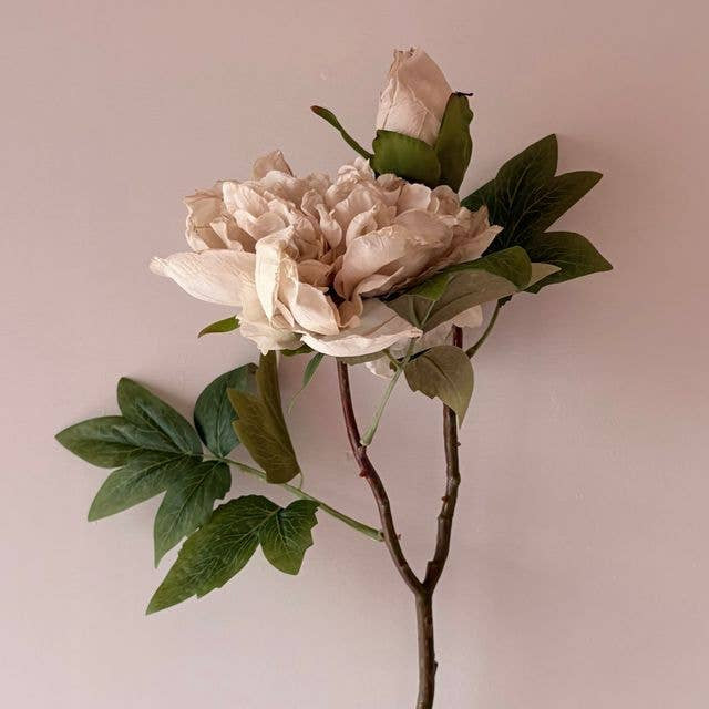 Full Bloom Double Peony - Nude