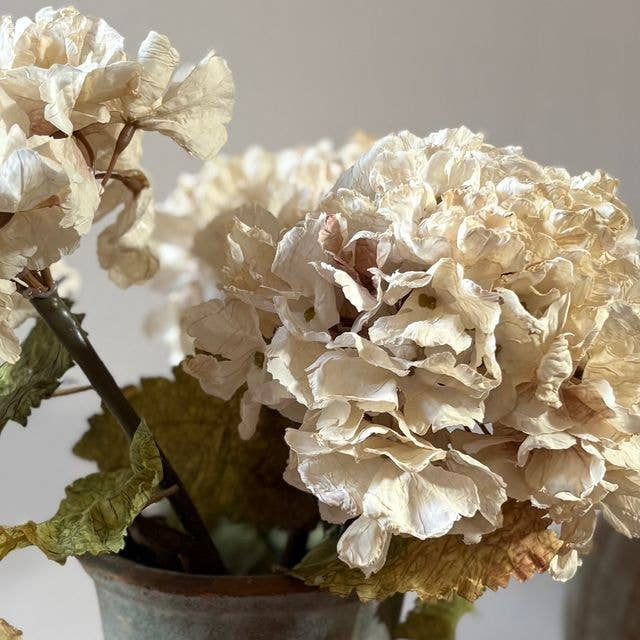 Vintage Hydrangea - Nude