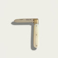 Mother of Pearl Letter Opener