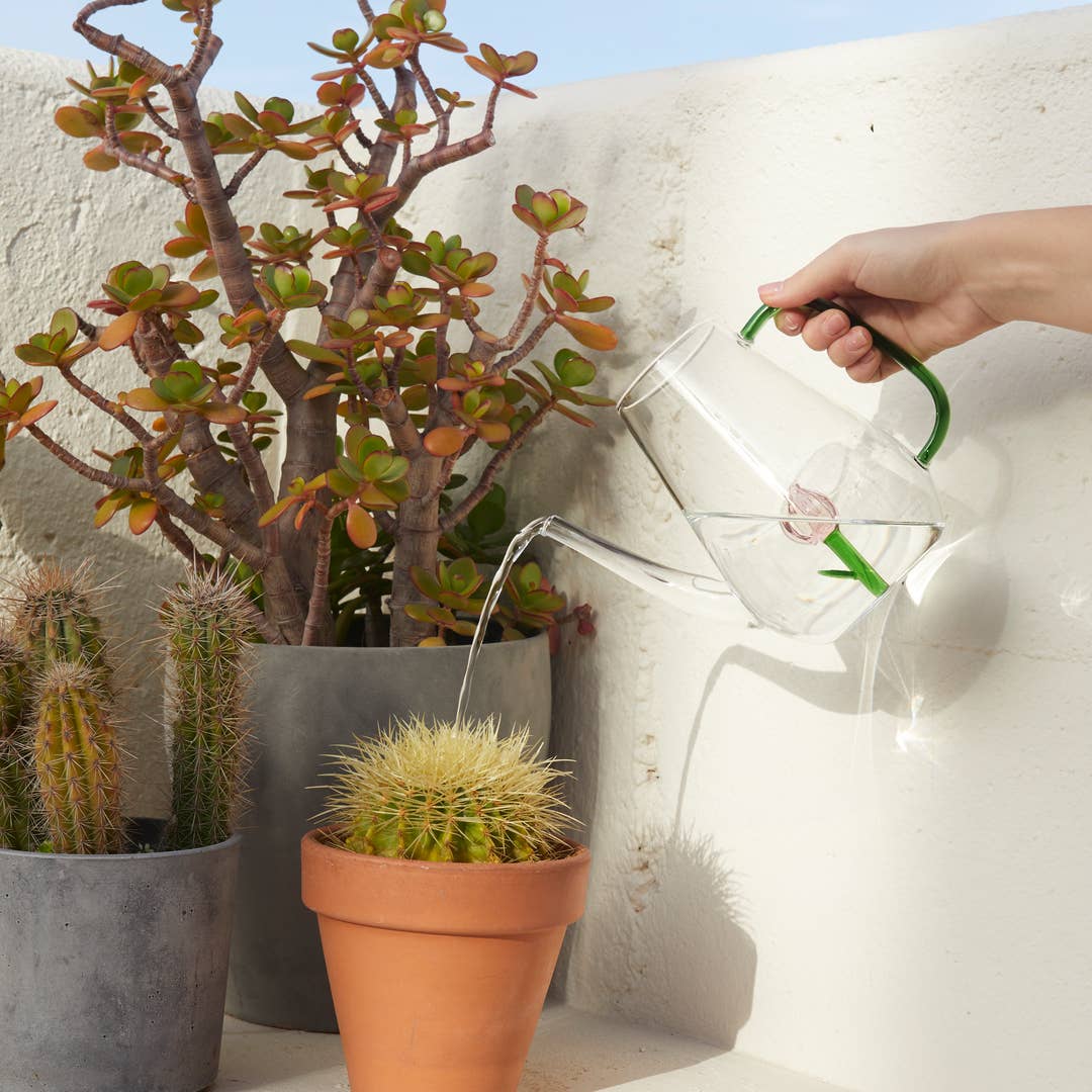 1L Tulip Glass Watering Can