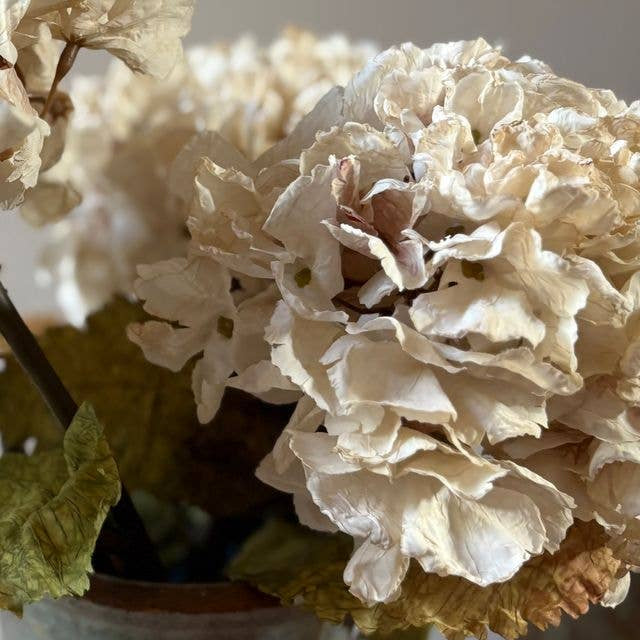 Vintage Hydrangea - Nude