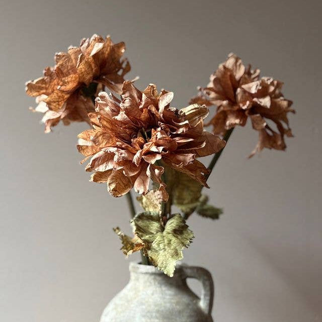 Vintage Dahlia - Latte