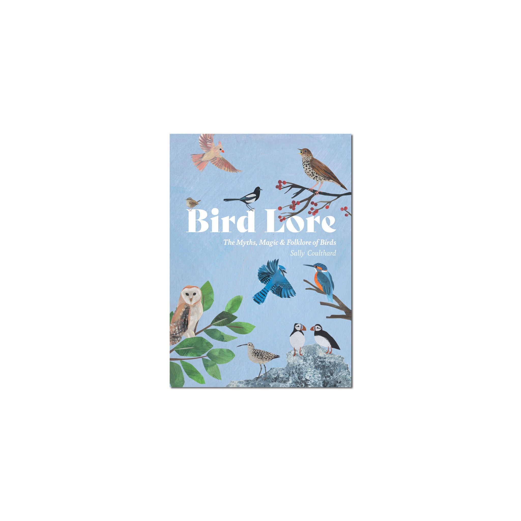 Bird Lore