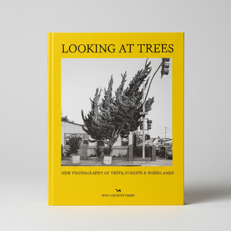 Looking at Trees
