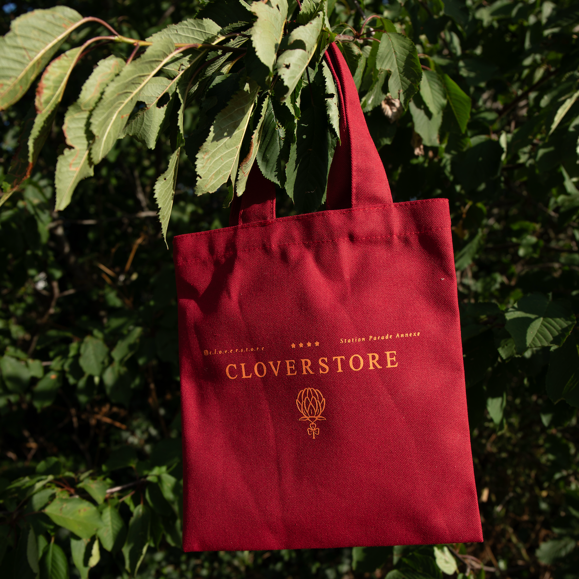 Cloverstore Small Tote Berry