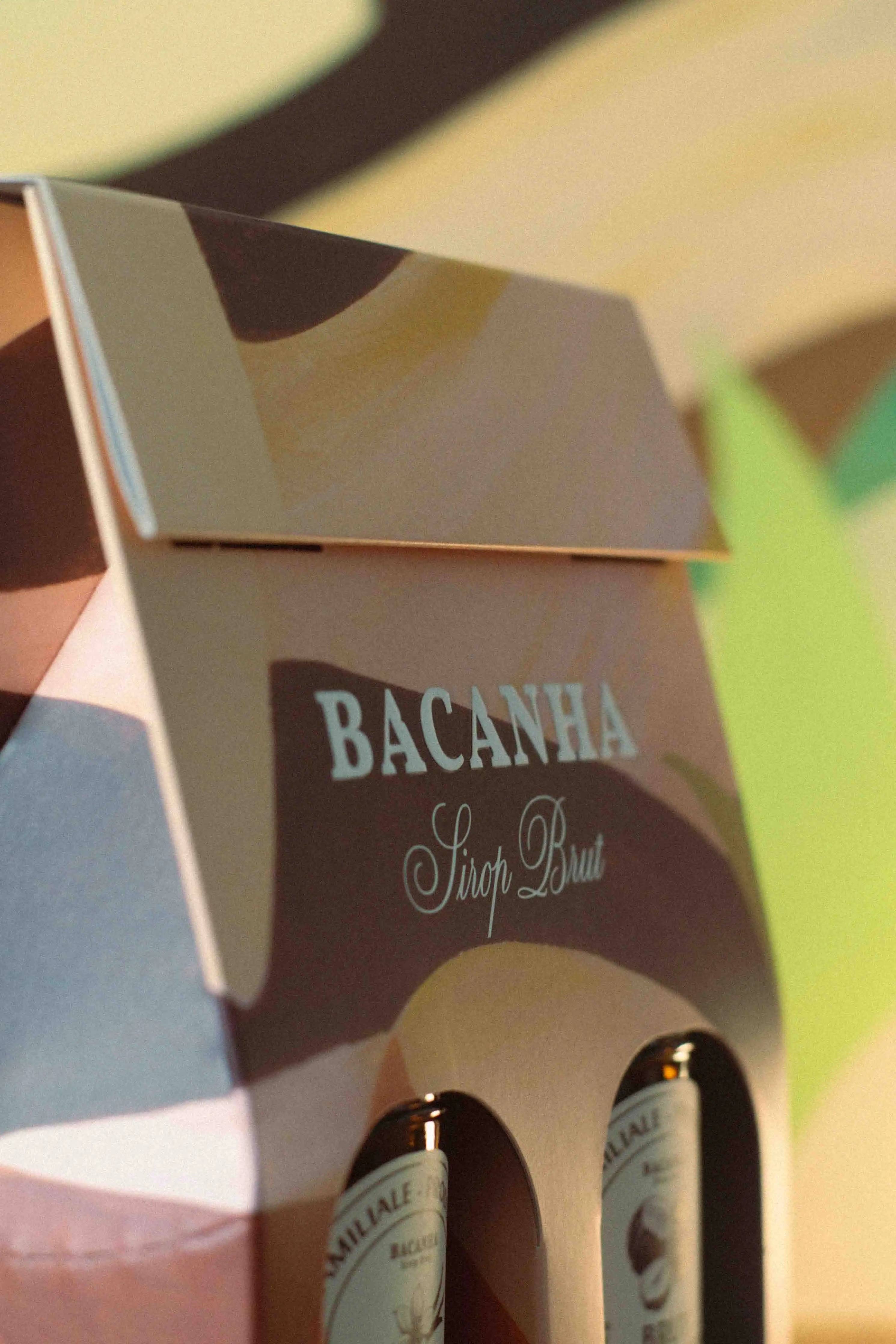 Bacanha Syrup Box Vanilla & Hazelnut - 2 x 400 ml