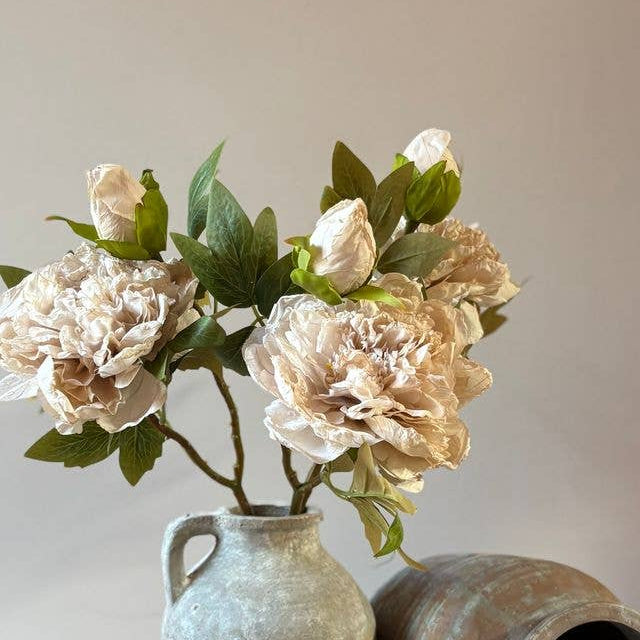 Full Bloom Double Peony - Nude