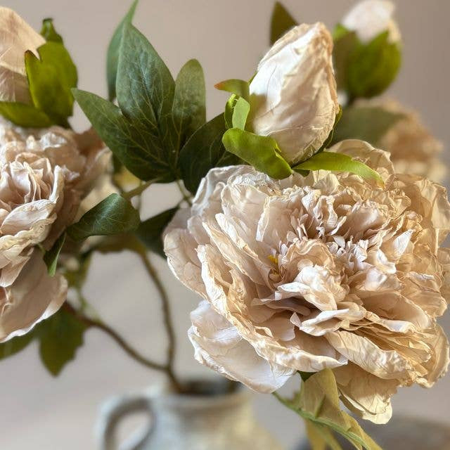 Full Bloom Double Peony - Nude